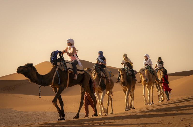 Camel caravan silhouette trekking in the Sahara Desert Morocco