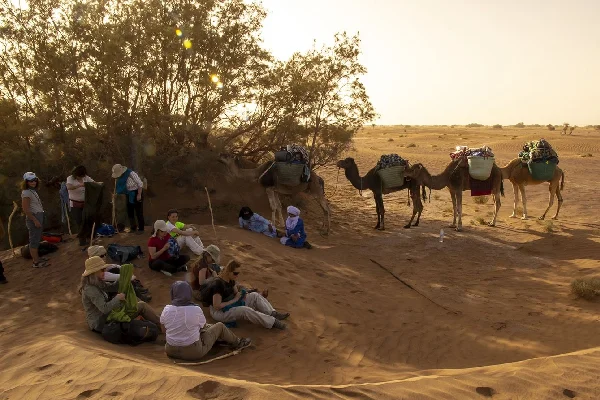 Camel trekking at sunset in the Moroccan Sahara