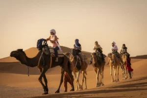 Camel trekking caravan in Sahara Desert M'Hamid
