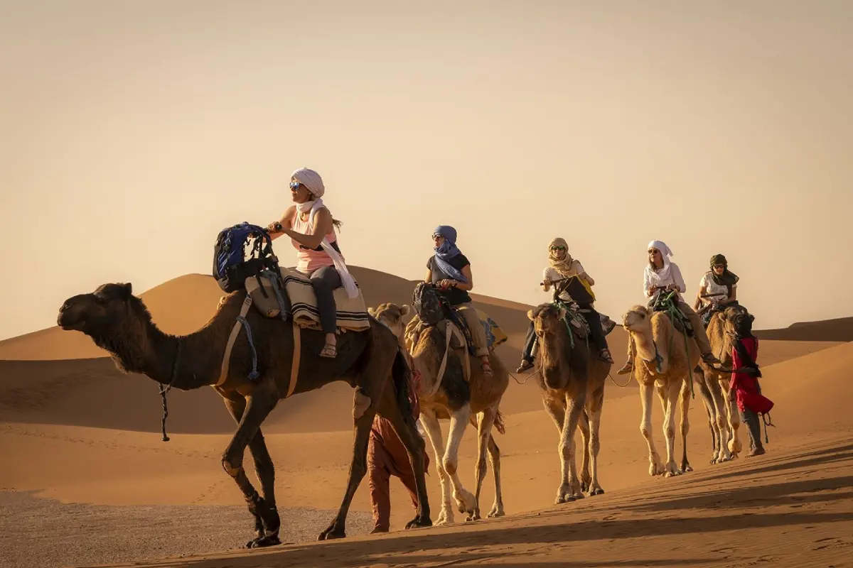 Camel trekking caravan in Sahara Desert M'Hamid