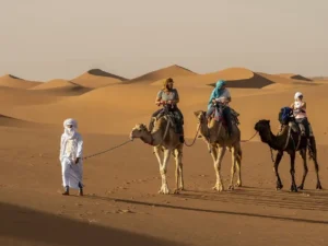 Best time to visit Sahara Desert — camel trekking from M'Hamid El Ghizlane, Morocco