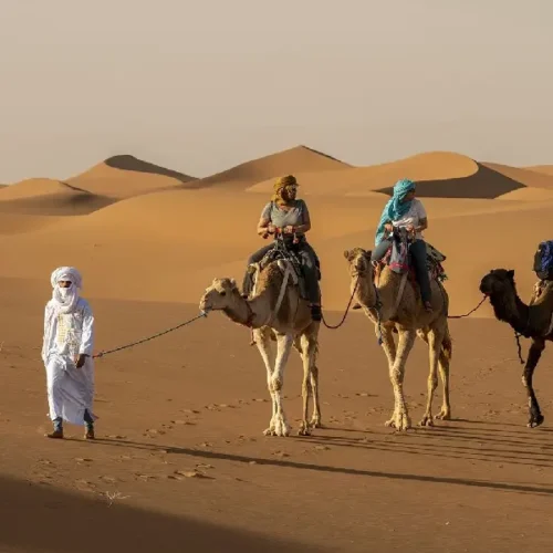 Camel trekking in Sahara Desert from M'Hamid El Ghizlane Morocco