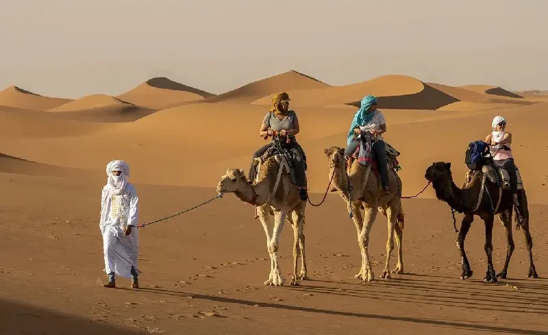 Camel trekking in Sahara Desert from M'Hamid El Ghizlane Morocco