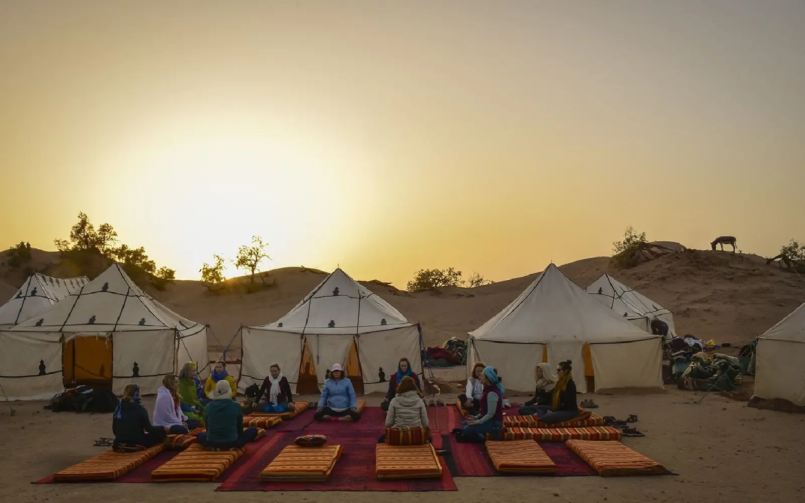 Desert camp setup during Sahara trekking expedition