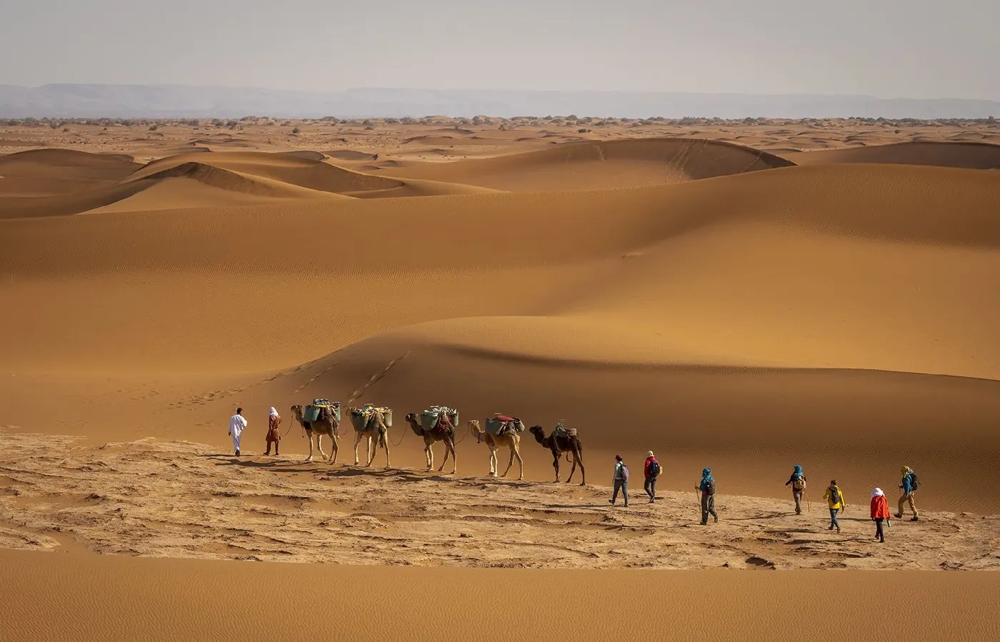Desert caravan route near M'Hamid El Ghizlane Morocco