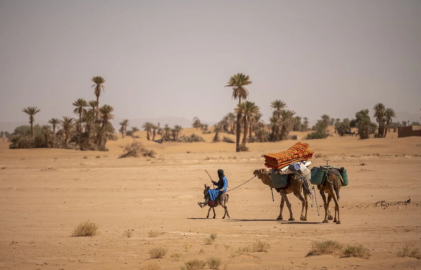 Road to M'Hamid El Ghizlane through Zagora desert region