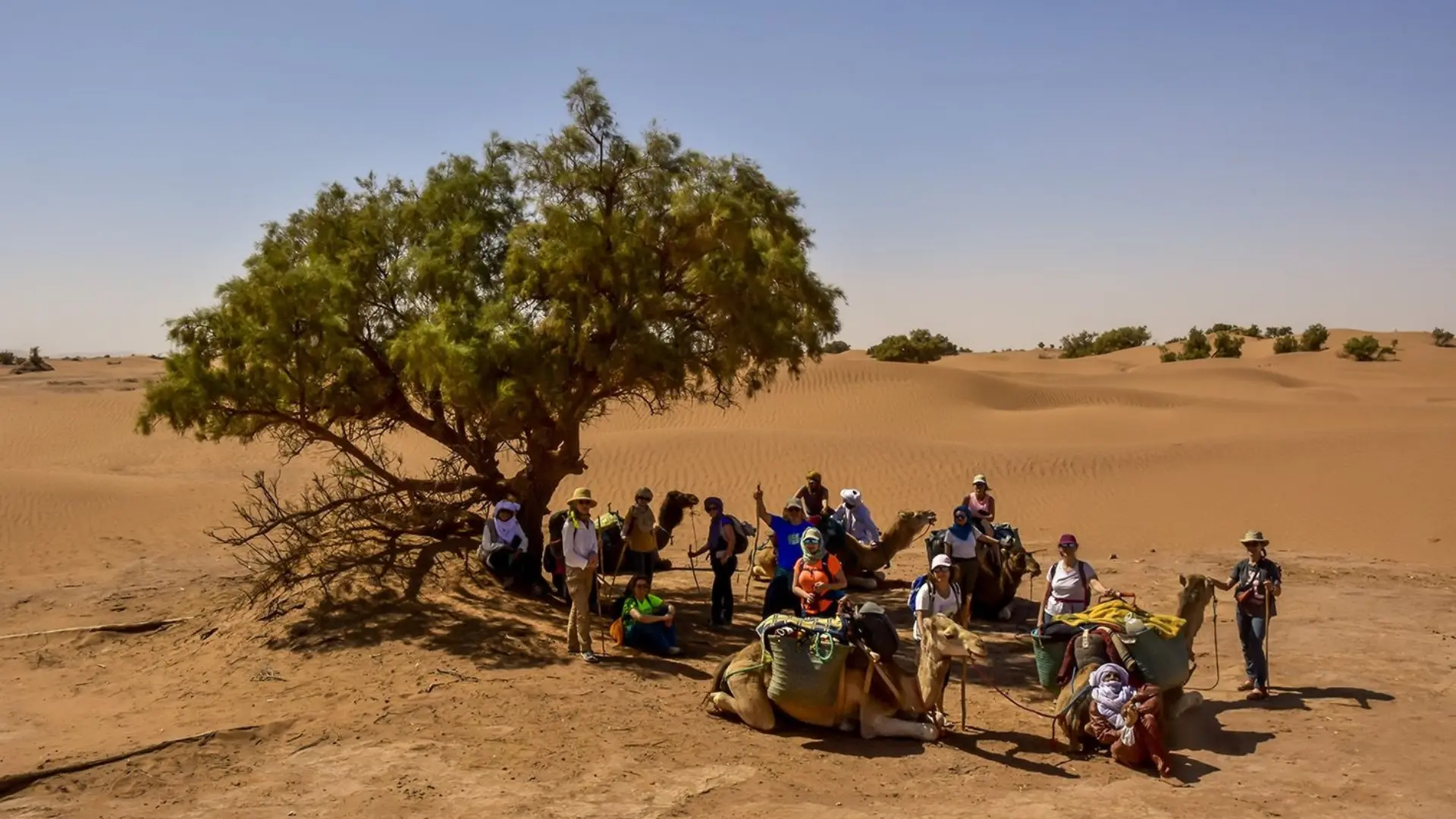 Sahara Desert activities in M'Hamid Morocco with 4x4 and dunes