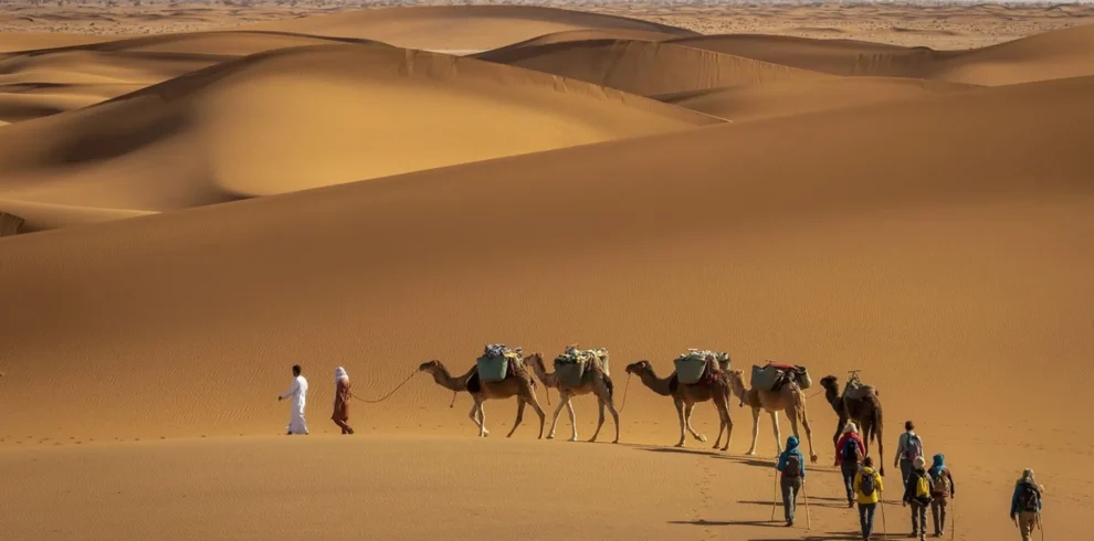 Sahara Desert trekking in M'Hamid Morocco with camel caravan