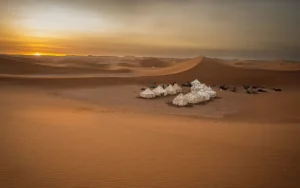 Sahara sunset over golden dunes near M'Hamid Morocco at the best time of day