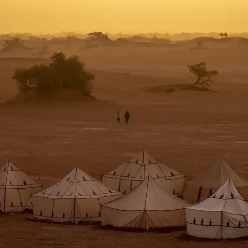 1‑Day Sahara Desert Tour to Erg Zahar from M’Hamid