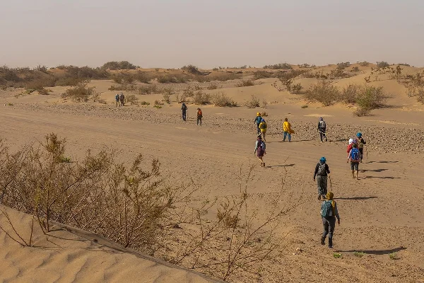 Trekking through Sahara dunes near M'Hamid Morocco