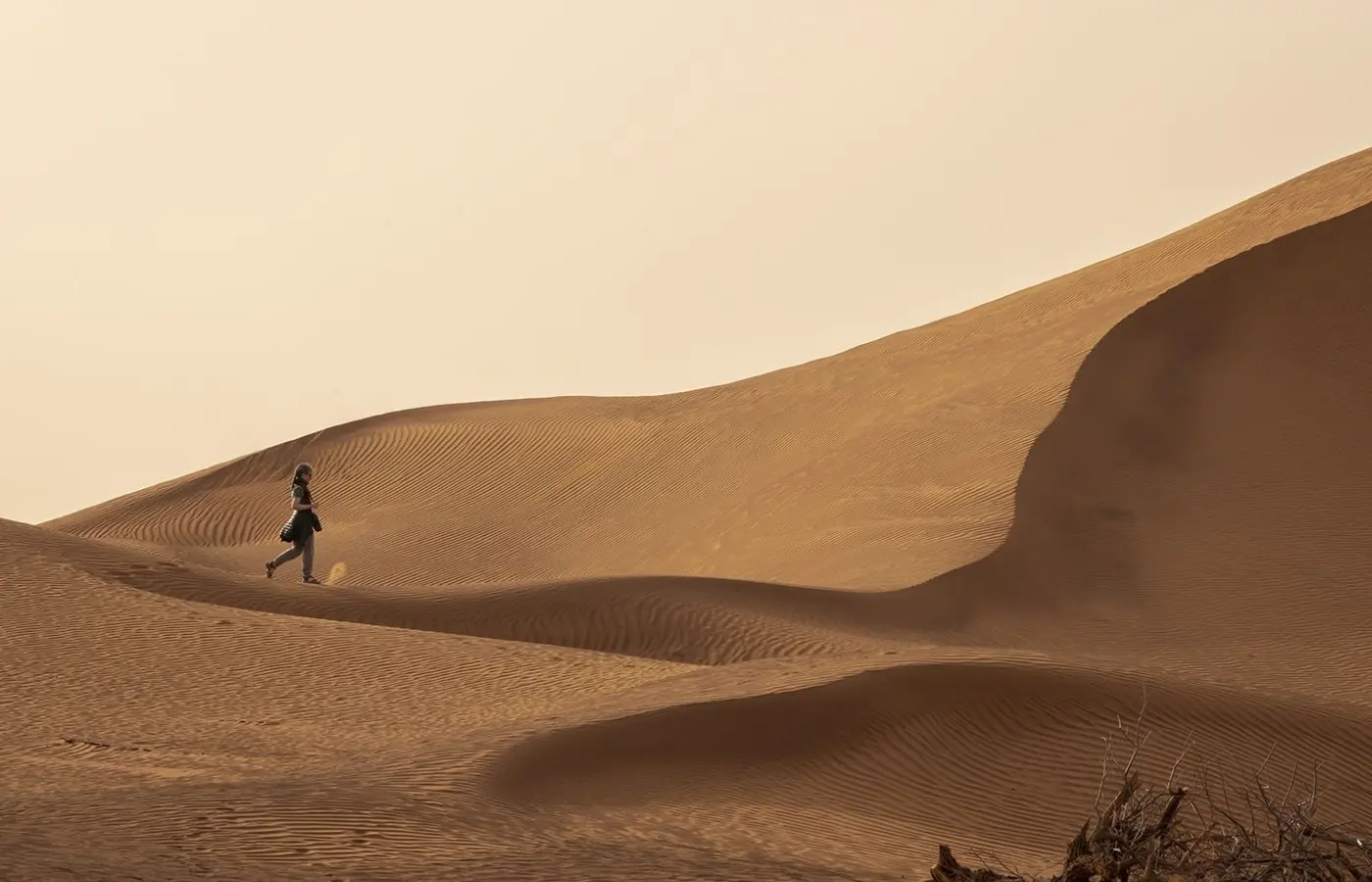 Untouched Sahara landscapes near M'Hamid El Ghizlane Morocco
