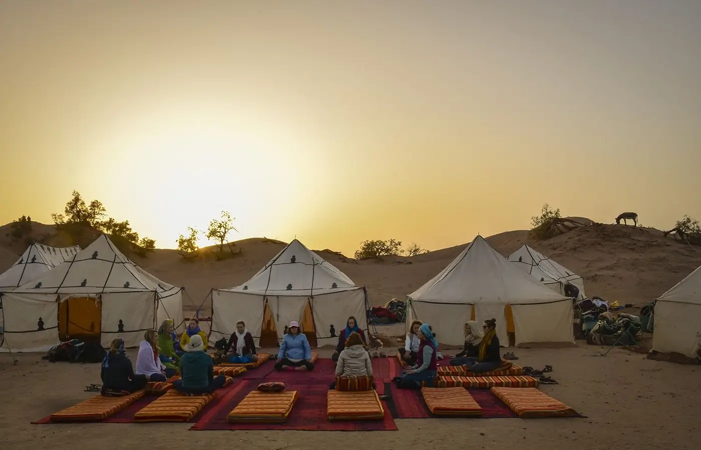 Yoga session in Sahara dunes near M'Hamid Morocco