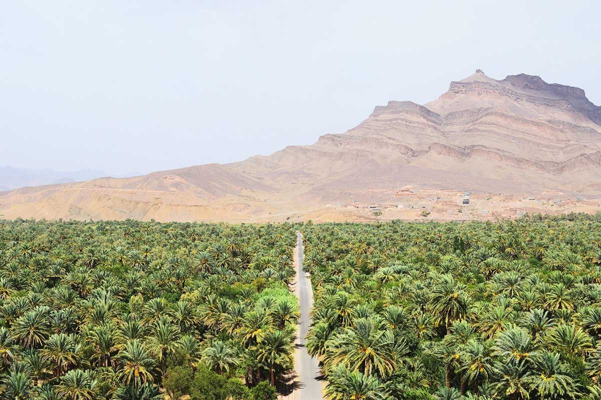Draa Valley palm groves and Jbel Kissane on the road to M'Hamid El Ghizlane